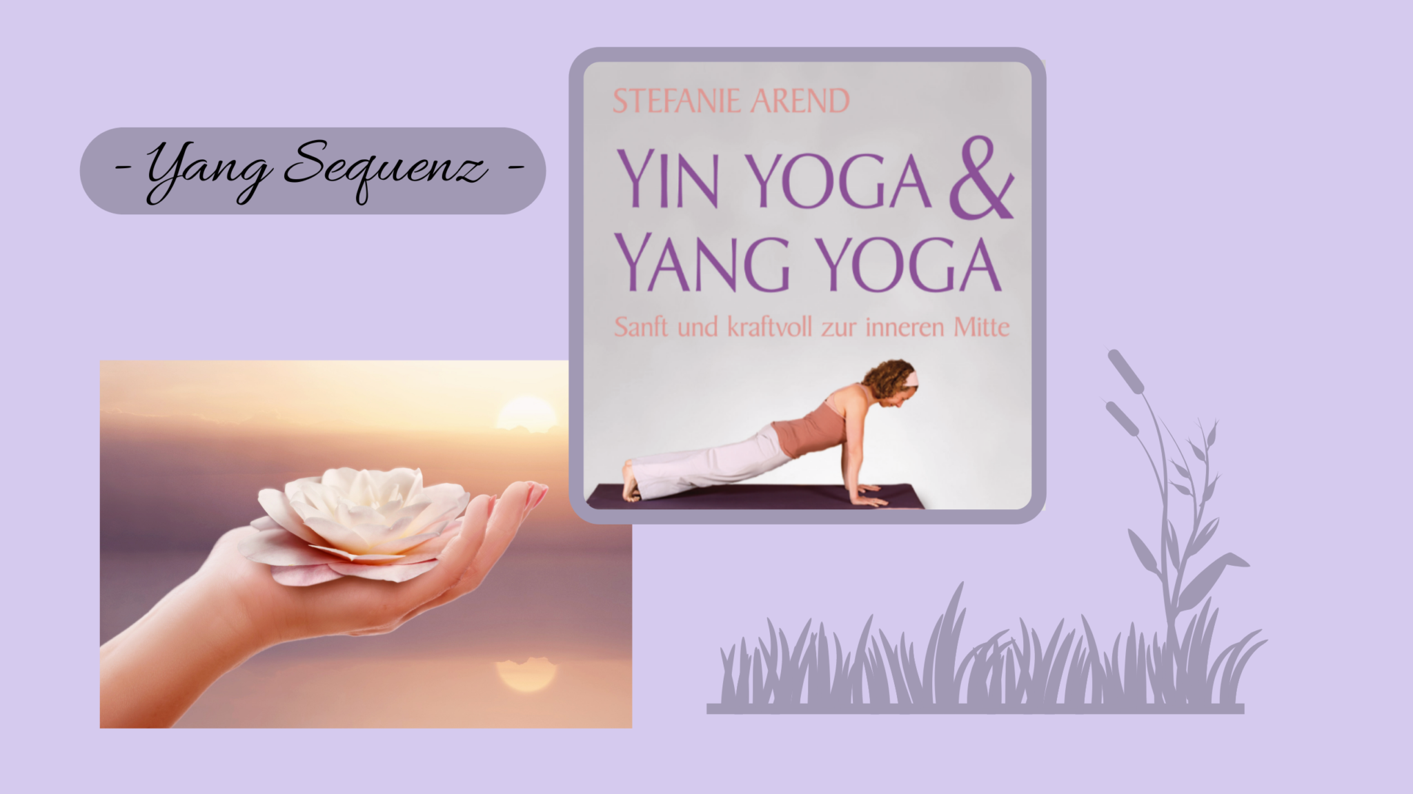 Digital Yin Yoga Yang Yoga Nur Yang Sequenz Yin Yoga